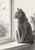 Short-haired grey cat seated in profile on an interior windowsill, watching a small bird on a bare branch outside; potted foliage is at right.