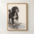 Charcoal-style drawing of a curly black-and-white dog with a lifted paw beside water ripples and a lightly marked riverbank.; frame shown for styling only