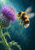 Fuzzy black-and-golden bee hovering beside a large violet thistle against a deep teal-blue background with glowing pollen-like specks.