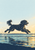 Dark curly-coated dog leaping from left to right above rippled shoreline water, with droplets, pale sky, and warm golden highlights.