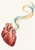 Illustrated crimson human heart in the lower left with a separate translucent teal, pink and pale-gold ribbon sweeping upward across a warm off-white background.