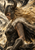 Horned-helmet female warrior with long blond hair, dark armor, fur mantle, and decorative tattoos against a smoky landscape.