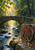 Red bicycle beside a flowing stream and stone bridge in a sunlit forest after rain.