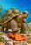 Detailed olive-and-ochre tortoise on rocky ground, with an orange fallen leaf in the foreground and blue sky behind.