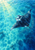 Manta ray with broad dark wings and long tail gliding through sunlit blue water beside small silver fish.