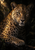 Close portrait of an alert leopard with golden highlights, resting its forepaw on a dark branch against shadowy foliage.