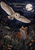 Pale barn owl gliding above a fox in tall moonlit meadow grasses beneath a full moon, with the title The Night Garden’s Visitors.