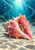 A large pink conch shell rests on pale underwater sand as a small hermit crab peeks from its opening beneath turquoise light rays.