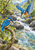 A blue-and-orange kingfisher hovers above a rocky stream while another perches on a curved leafy branch; a small fish breaks the water.