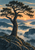 Mature irregularly branched pine on a rocky foreground ridge above misty mountain ridges at sunrise.