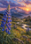 Large cobalt-blue lupine in a flower-filled mountain meadow above a winding stream, with a jagged ridge and glowing sunset.