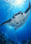 A manta ray with broad fins and pale underside swims toward sunlit blue water above dark reef silhouettes, small fish, and bubbles.