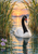 White-bodied black-necked swan gliding between tall reeds on reflective sunset water, with lavender flowers at lower left.