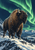 Shaggy brown bison standing on a snowy rocky ridge beneath sweeping green aurora, with snow-covered mountains and dark conifers behind.