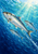 Three silver-blue fish swim diagonally through turquoise and deep blue water, with bubbles and bright rays entering from the upper right.