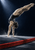 Gymnast in an inverted two-hand balance above a red-edged mat against a deep navy background.