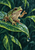 Green frog with large round eyes perched on a glossy diagonal leaf, with a bright droplet hanging from its tip.