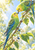 Two yellow-green parakeets on a flowering branch, with the upper bird holding a small blue berry at its beak.