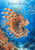 Striped lionfish with broad orange-and-cream fins swims through blue water near coral and a school of fish; “Reef in Motion” appears above.