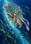 Patterned turquoise-and-coral cuttlefish swimming diagonally through deep blue water among bubbles and sea-grass ribbons.