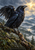Close-up black raven with one wing raised on a wet branch, with misty mountains, forest, and rain behind it.