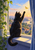 Black cat on a windowsill reaches toward a yellow moth outside an open window, framed by a trailing plant and blue curtain.