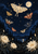 Seven patterned moths along a dotted star path beneath a full moon, above pale flowers and a dark garden; title reads “The Night Garden.”