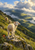 Cream-wool lamb looking back from a rocky grassy ledge, with sheep along a ridge and a cloud-shadowed valley beyond.