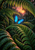 Blue open-winged butterfly among dewy fern fronds, with a curled fiddlehead and warm sunset opening behind.