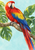 Scarlet macaw with red, yellow, and cobalt-blue feathers perched on a curved branch among green leaves against a pale aqua background.