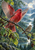 A large crimson bird with raised wings and fanned tail on a wet branch, with a smaller olive-brown bird, leaves, droplets, lake, and mountains.