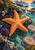 Large orange five-armed sea star on dark tidepool rocks, with anemones, reflective water and distant sunset headlands.
