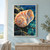 Large cream, apricot and coral spiral shell with a broad opening resting among dark rocks in reflective blue-green tide-pool water.; frame shown for styling only