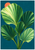 Five broad green leaves fanning upward across a deep teal background, with a partly hidden coral-orange sun and narrow white margin.