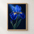 Luminous blue iris with a gold-yellow throat, long leaves, and an unopened bud against a dark blue background.; frame shown for styling only