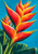 Large pointed red-orange and golden-yellow heliconia-like bloom with a smaller flower behind it against turquoise.