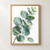 Diagonal watercolor-style eucalyptus spray with rounded blue-green leaves, rain beads, and a detached leaf on a warm-white background.; frame shown for styling only