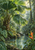 A broad fan palm spreads over a rainforest pool as droplets fall into concentric ripples, with an orange-red tropical bloom at lower right.