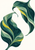 Two oversized abstract leaves curl toward each other in rippling teal, green, and citron bands on a warm-white background.