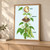 Three-stage bean growth chart with a cutaway seed, rooted sprout, and mature climbing plant with flowers and pods, labeled SEED, SPROUT, and PODS.; frame shown for styling only