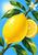 Large ripe yellow lemon beside a cut lemon half, surrounded by glossy green leaves and a white blossom against bright blue.
