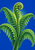 A large green fiddlehead fern with a prominent curled shoot and arching mature fronds against a saturated blue background.
