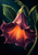 Large downward-facing purple trumpet flower with a glowing coral-orange throat, broad olive-green leaves, and a curved stem against a dark background.