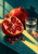 Open pomegranate filled with ruby seeds beside a whole fruit and clear tumbler on a teal tabletop crossed by warm sunlight.