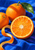 Two whole oranges and a cut orange half with a green leaf and curling peel on bright blue cloth.