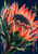 Large coral-orange protea-like flower with a dark textured center, crossed by pixel columns and glitch bars against deep navy.
