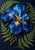 Large blue iris with a golden throat surrounded by dense fern fronds and bronze-brown seed pods on a midnight-indigo background.