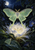 Pale green moth hovering over a glowing white flower in a dark garden, with a smaller moth on a leaf and a moon above.