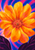 Close-up stylized golden-orange flower with a coral stippled center, cobalt and fuchsia radiating marks, and dark plum leaves.