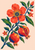 Colourful pomegranate branch with a large coral flower, green leaves, and two fruits, one opened to show red seeds.